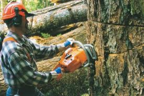 Product picture Chainsaw Operating Maintenance Manual