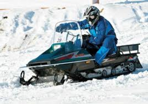 Product picture Yamaha BR250 Bravo Snowmobile Service Manual 