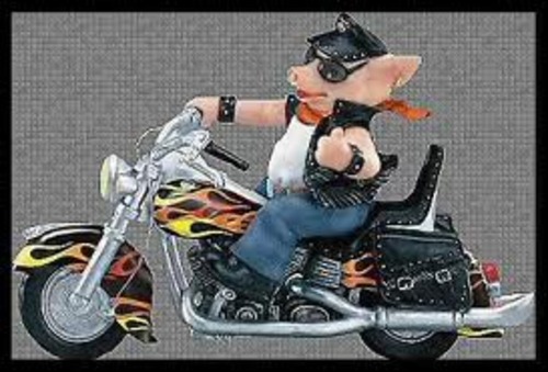 Product picture HD WLA SOLO MASTER MANUAL